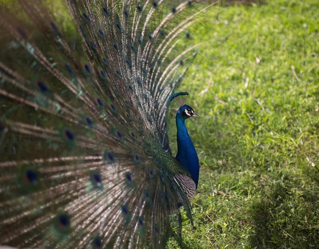 Complejo Turistico Flores Trinidad Εξωτερικό φωτογραφία
