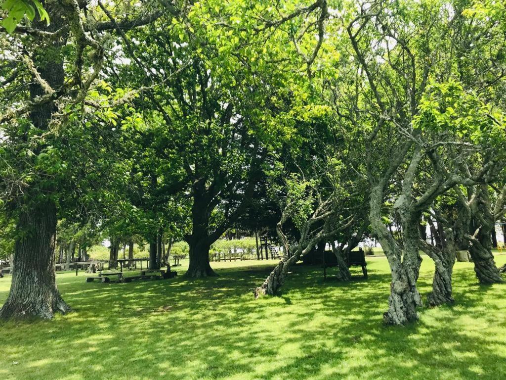 Complejo Turistico Flores Trinidad Εξωτερικό φωτογραφία