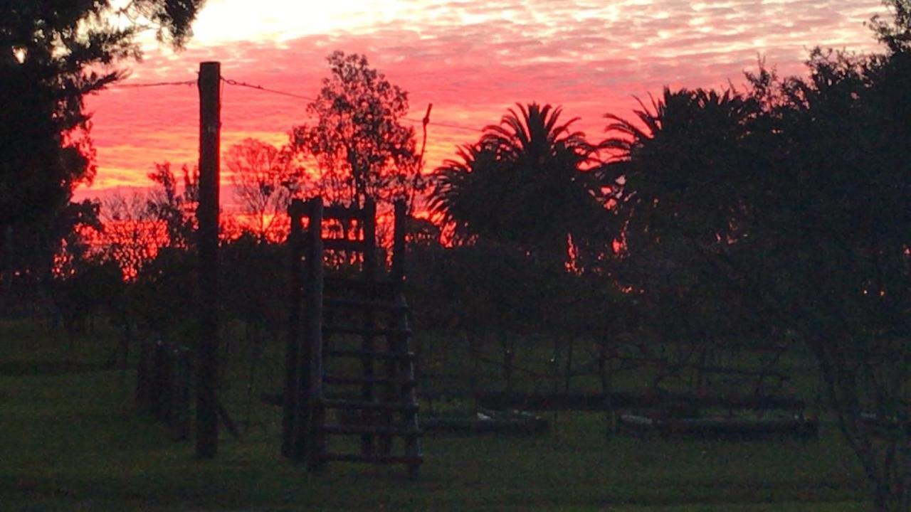 Complejo Turistico Flores Trinidad Εξωτερικό φωτογραφία